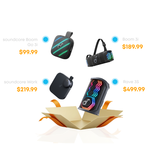 Summer Deal Mystery Box | Speaker